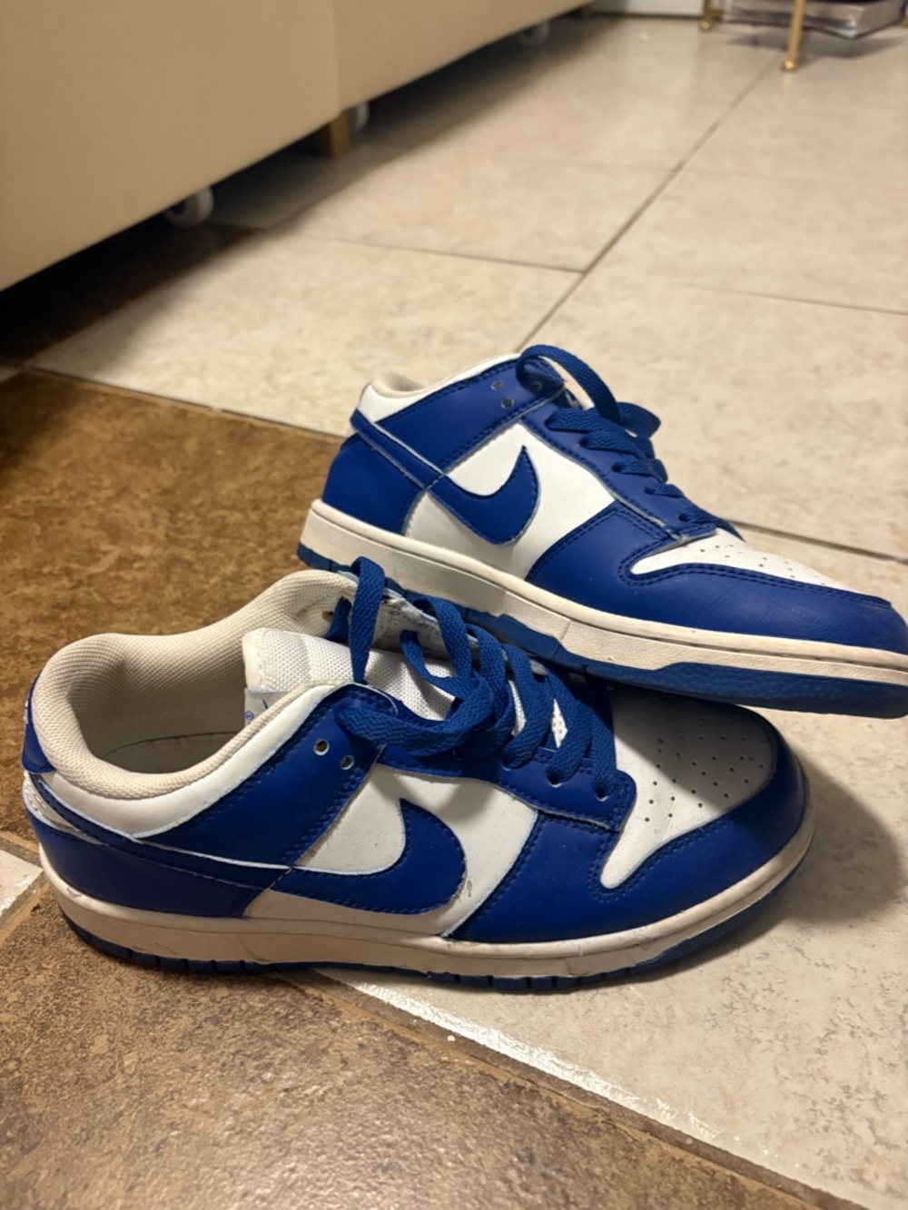Nike Dunks Blue and White Low-Top Sneakers